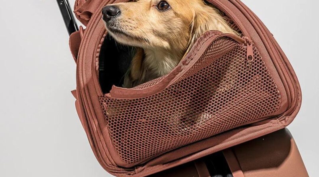The Must-Have Pet Carriers for Jet-Setting With Your Fur Baby
