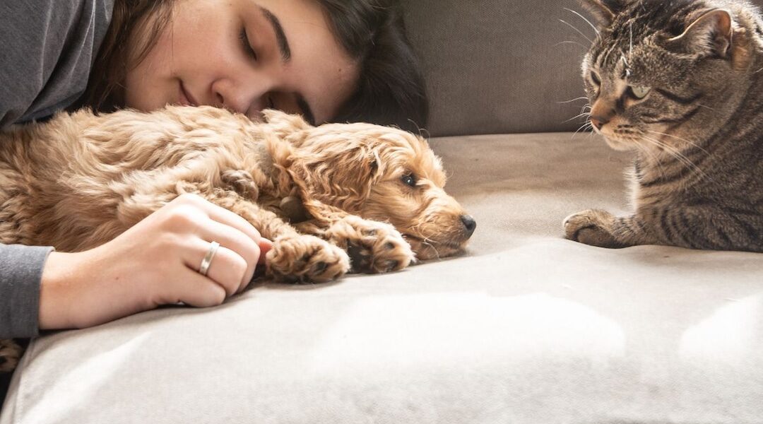 Celebrate National Pet Day with These Paws-ome & Purr-fect Gifts