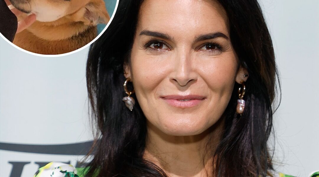 Law & Order’s Angie Harmon Says Deliveryman Shot and Killed Dog