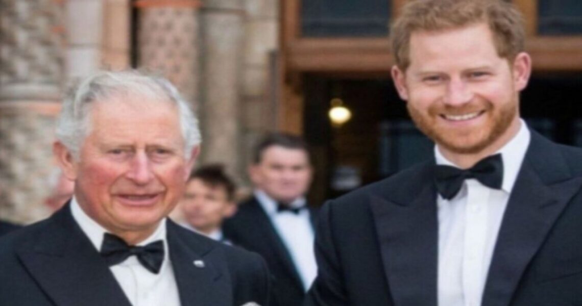 Did Prince Harry Not Meet King Charles Because Of Queen Camilla? Here’s What Source Reveals