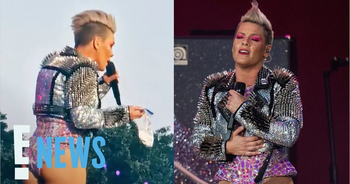 Pink Stunned After Fan Throws Mom’s Ashes At Her During Performance | E! News