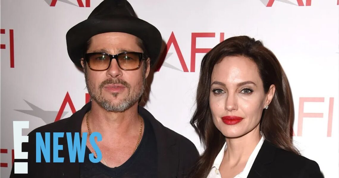 Brad Pitt Calls Angelina Jolie “Vindictive” for Selling Winery Stake | E! News