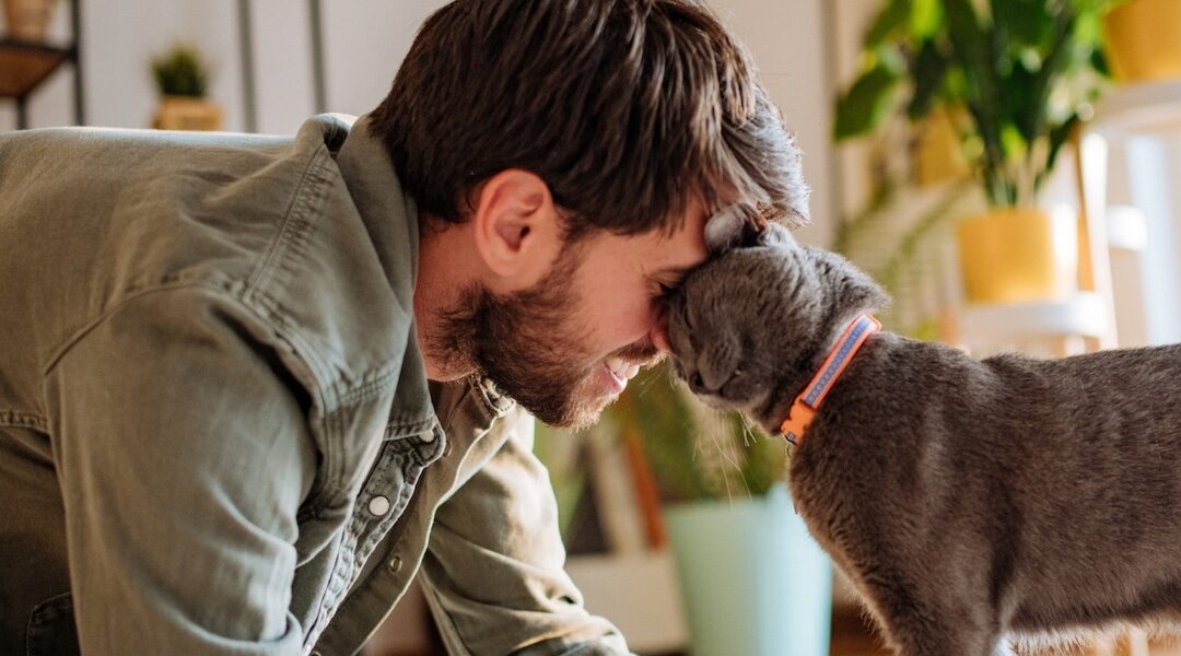 Best Father’s Day Gifts for Cat Dads of 2024 That’re Purr-Fection