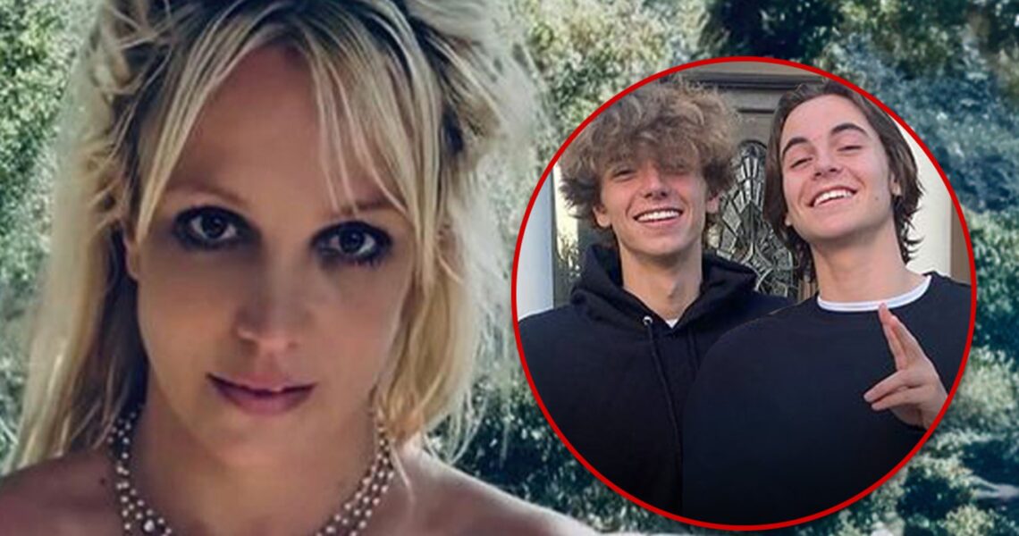 Britney Spears’ Sons Have Not Reconciled with Her, Despite Reports to Contrary