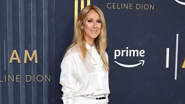 Celine Dion Cries at NYC Premiere of Her Stiff Person Syndrome Doc – Hollywood Life