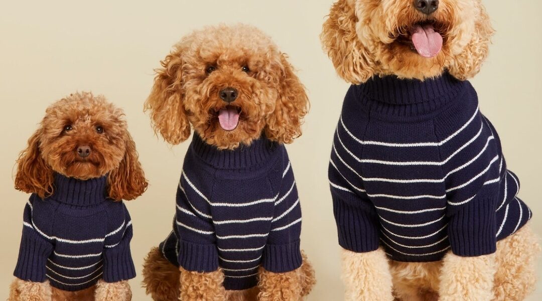 Draper James x The Foggy Dog Has The Cutest Outfits for You & Your Pup