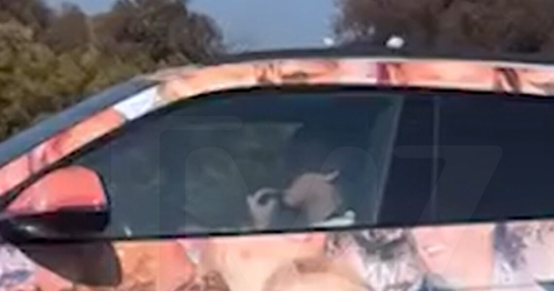 JoJo Siwa Gnaws on Fingernails While Driving Easy-to-Spot Lamborghini