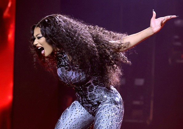 Megan Thee Stallion Seemingly Disses Nicki Minaj in New ‘Rattle’ Song – Hollywood Life