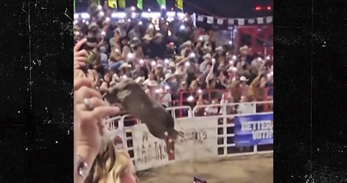 Oregon Rodeo Bull Won’t Be Put Down Following Rampage, Officials Say