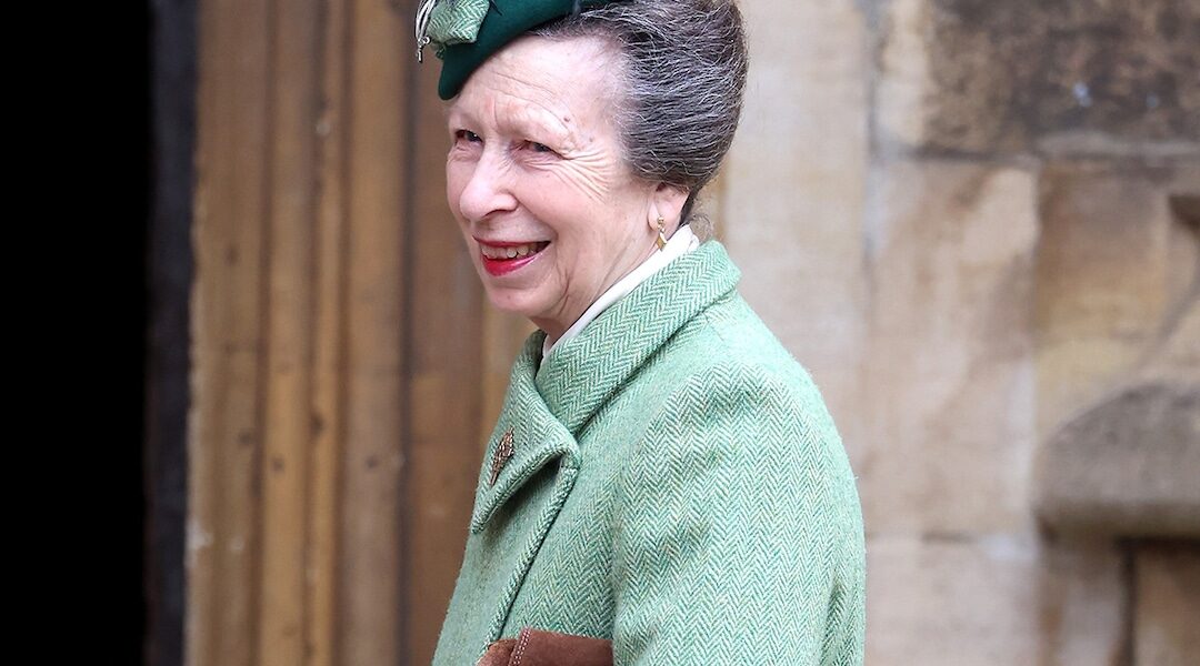 Princess Anne Released From Hospital After Sustaining Head Injury 