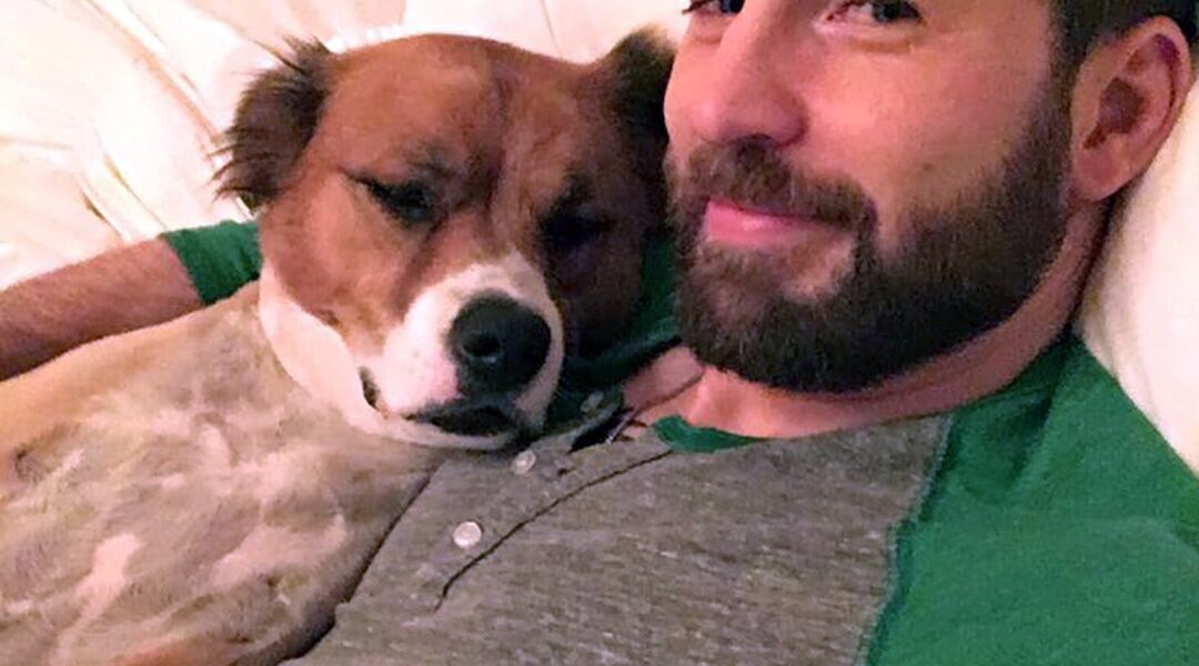 See All the Celeb Dog Dads With Their Adorable Pups