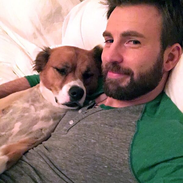 See All the Celeb Dog Dads With Their Adorable Pups