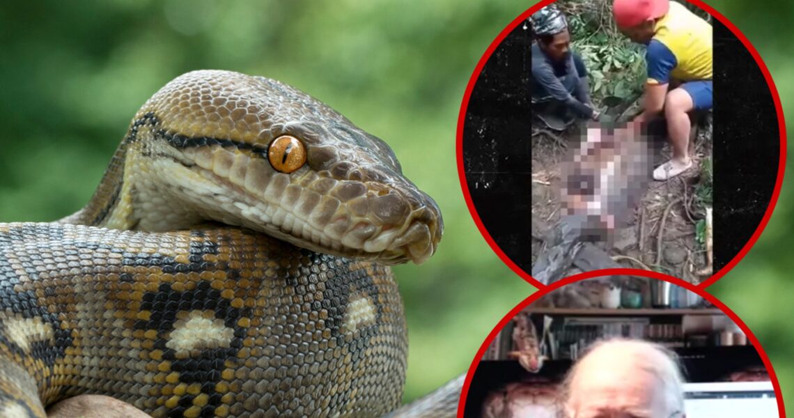 Snake Expert Gives Horrifying Detail of Python Eating Woman