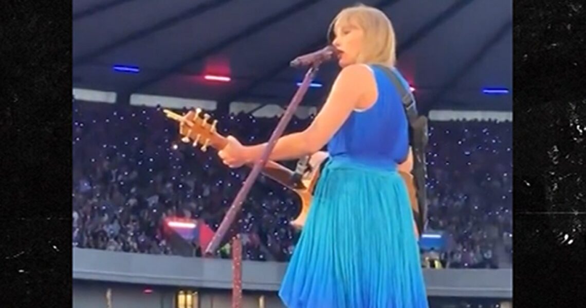 Taylor Swift Shuts Down Show Until Security Helps Fan in Viral Video