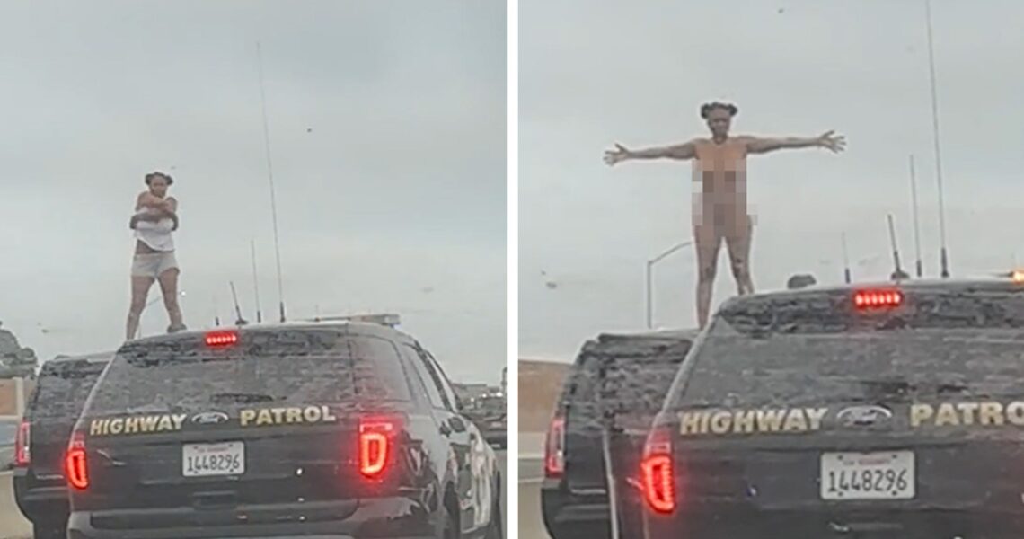 Woman In L.A. Police Chase Gets Naked On Freeway, CHP Bears Witness