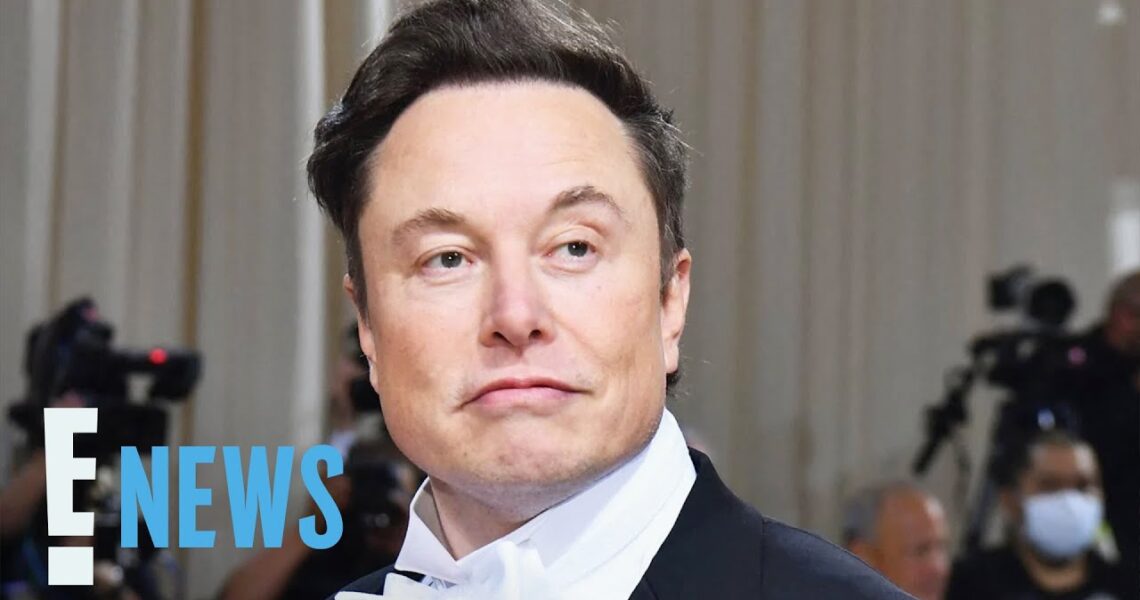 Elon Musk Announces He Has Hired New Twitter CEO | E! News