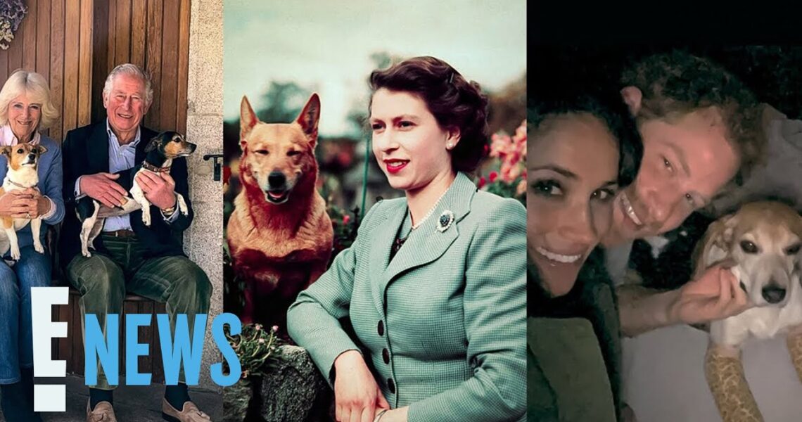 King Charles III’s Coronation: A Guide to the Royal Dogs! | E! News