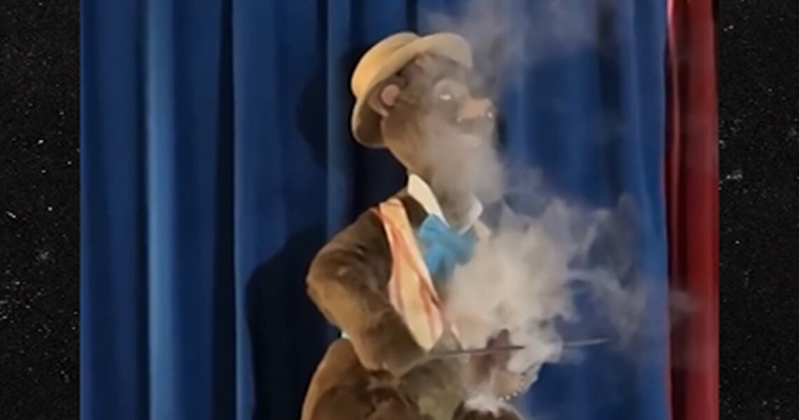 Animatronic Bear in Country Jamboree Show Starts Smoking at Disney World