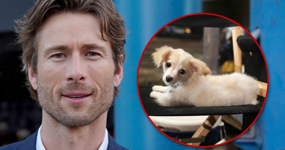 Glen Powell Found Rescue Pup Brisket on IG, Boosts Recue Org’s Profile