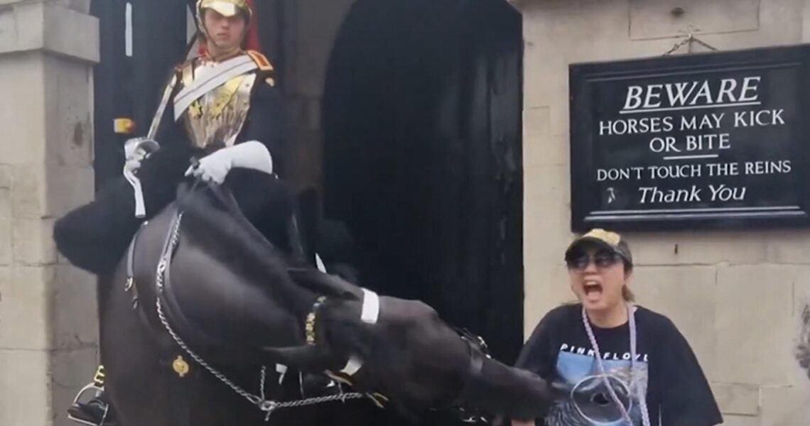 King Charles’ Guard Horse Bites Unsuspecting Tourist