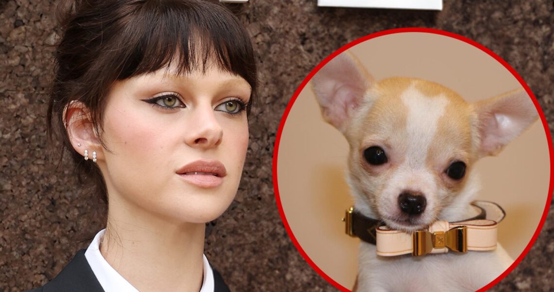 Nicola Peltz Sues Dog Groomer After Death of Chihuahua Nala