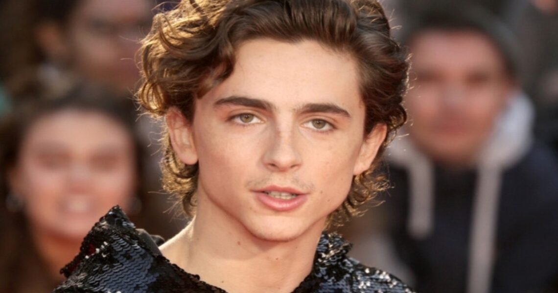 Timothée Chalamet In A24’s Next Project With Josh Safdie, Actor To Play Ping Pong Legend Marty Reisman