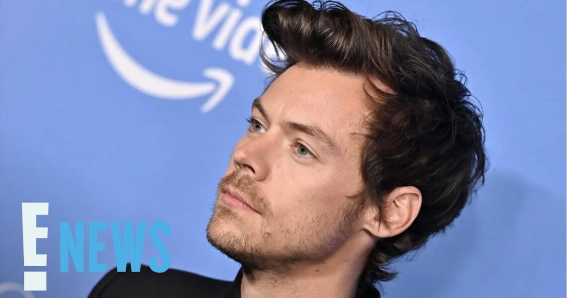 Why Harry Styles Turned Down Role in The Little Mermaid | E! News