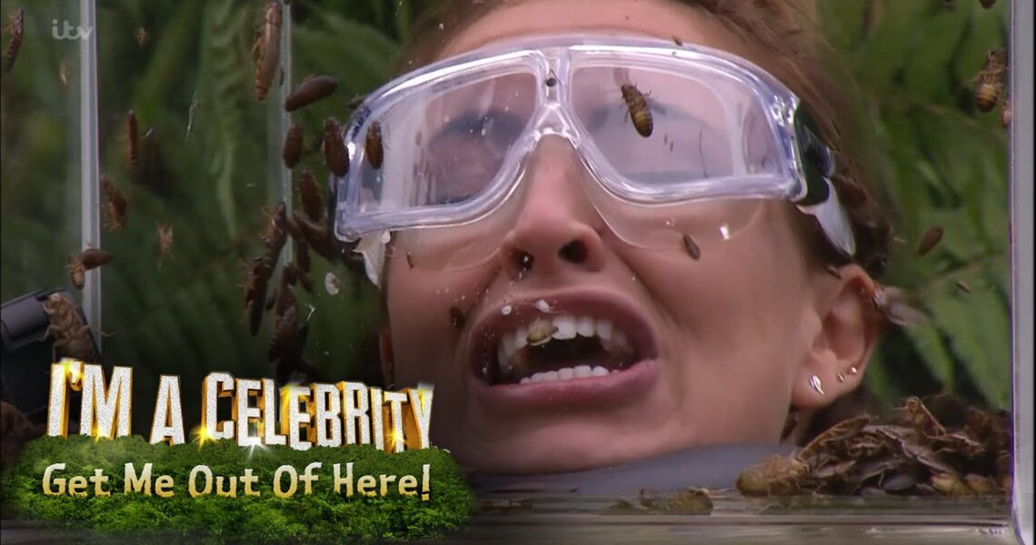 Ferne, Spencer and Vicky Face Terrifying Bushtucker Trial | I’m A Celebrity… Get Me Out Of Here!