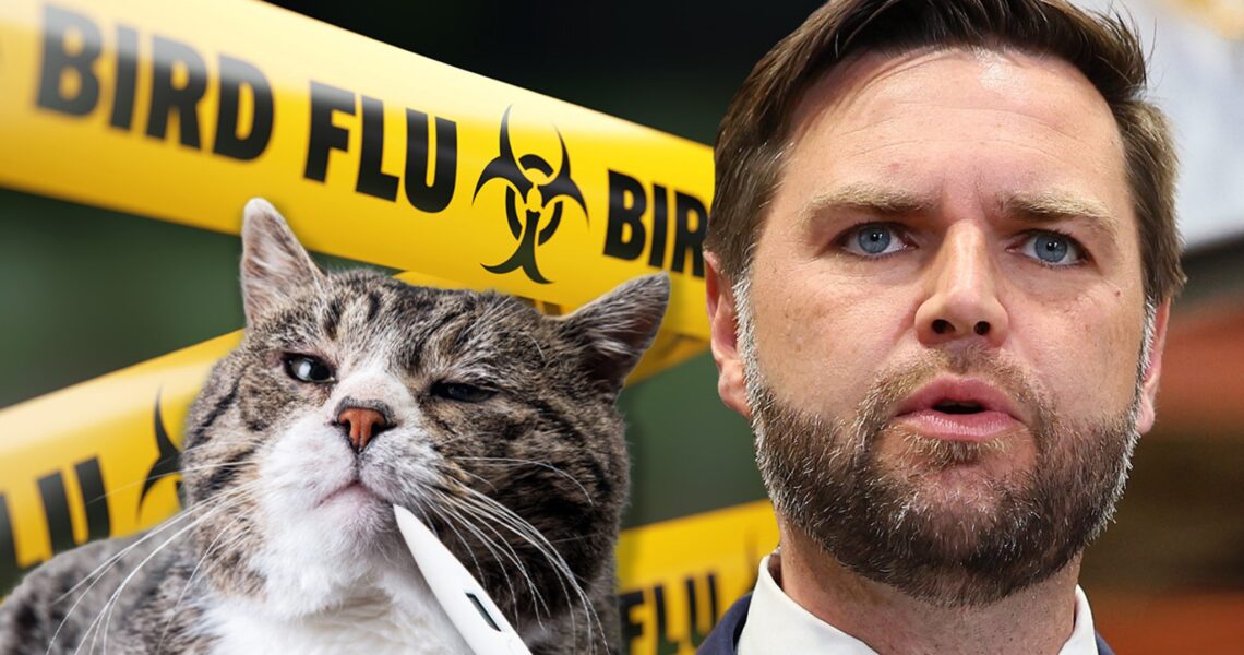 Avian Bird Flu Outbreak Among House Cats