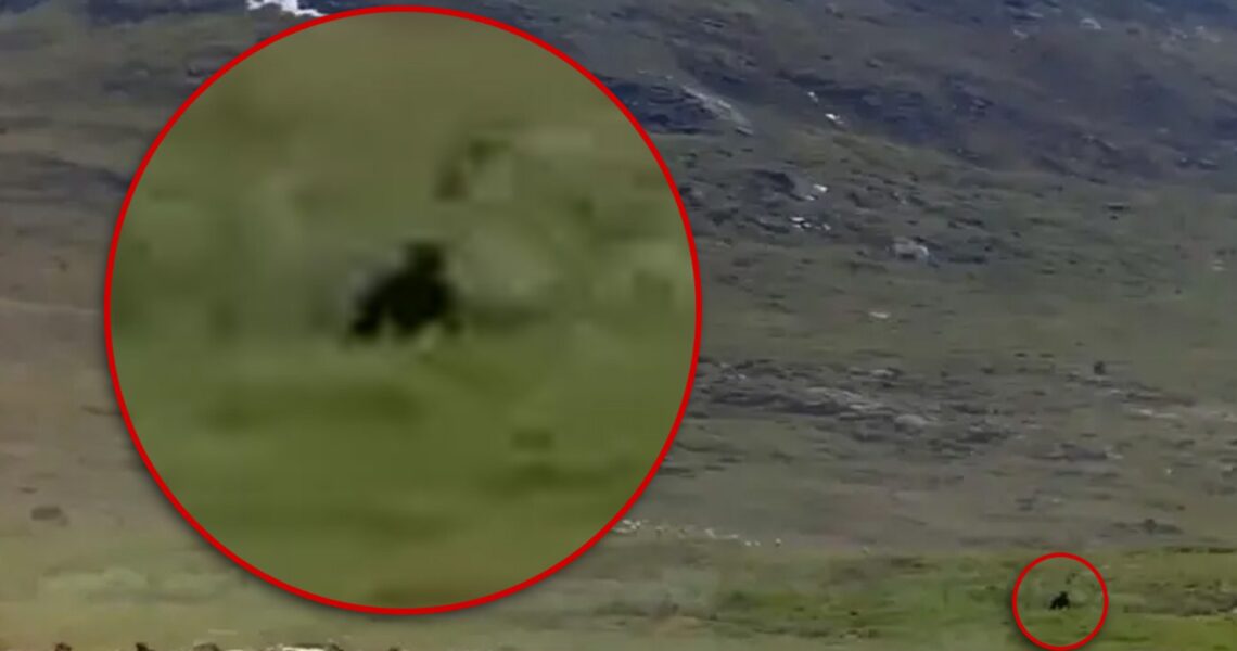 Bigfoot Purportedly Spotted in Resurfaced Documentary Clip, Running Among Caribou