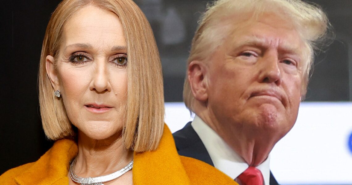 Celine Dion Sends Warning to Donald Trump After He Uses Song at Rally