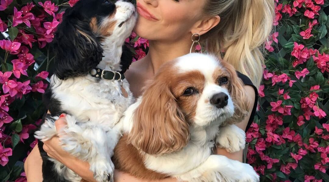 Julianne Hough Details Gut-Wrenching Story of How Her Dogs Died