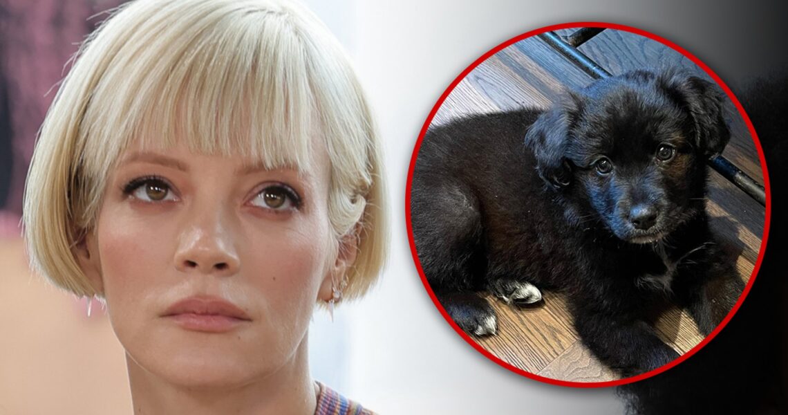 Lily Allen’s Dog Rehomed, Doing Well With New Family, Says Rescue Group