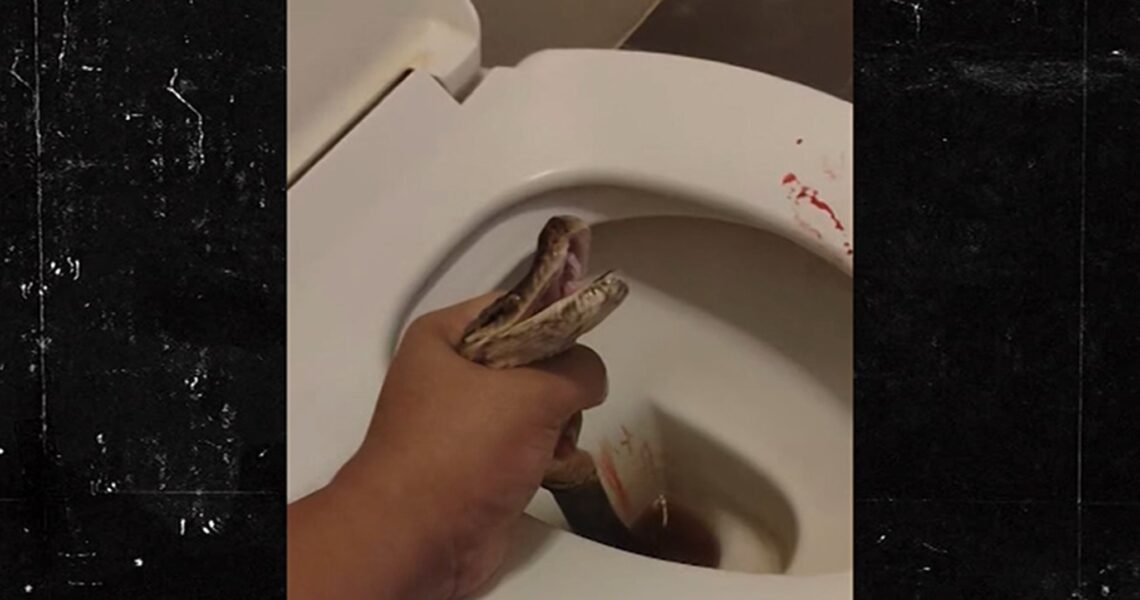 Man Says Python Bit His Balls While He Was Sitting on Toilet, Shares Video