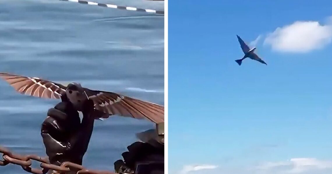 New Chinese Drone Confirms Gen-Z Viral Theory That Birds Aren’t Real