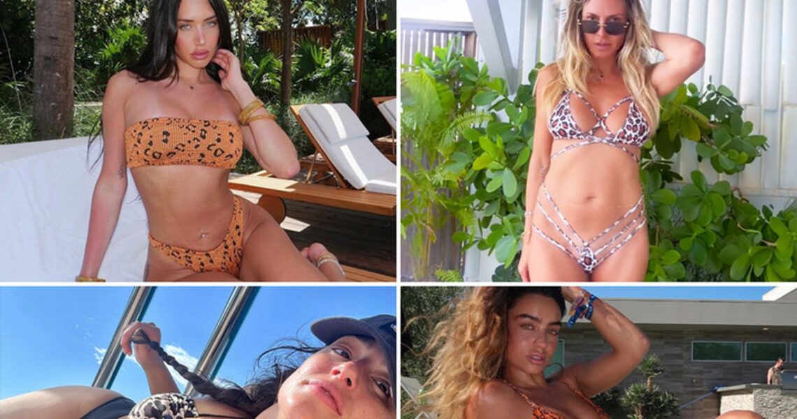 Sexy Stars In Animal Print Bikinis … Fierce N’ Feisty!