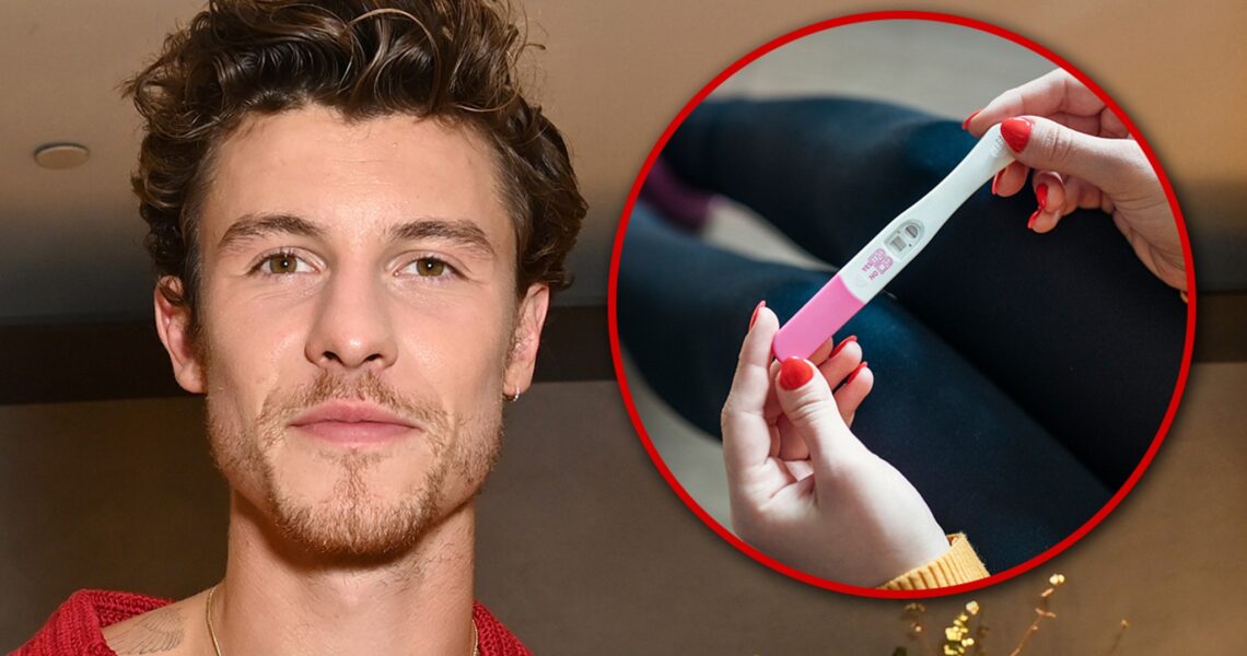 Shawn Mendes Sings About Pregnancy Scare in New Song