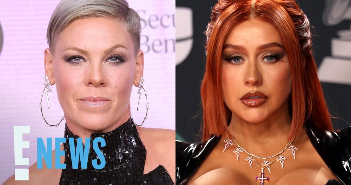 Pink Responds to Accusations of Shading Christina Aguilera | E! News