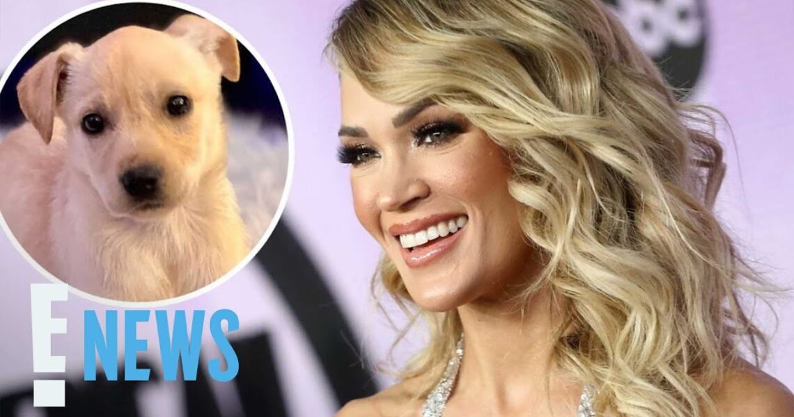 Carrie Underwood Introduces Her New Rescue Dog Charlie | E! News