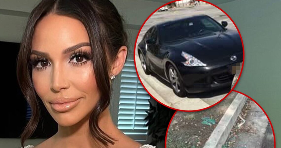 Scheana Shay Says Car Was Stolen From Right In Front of House