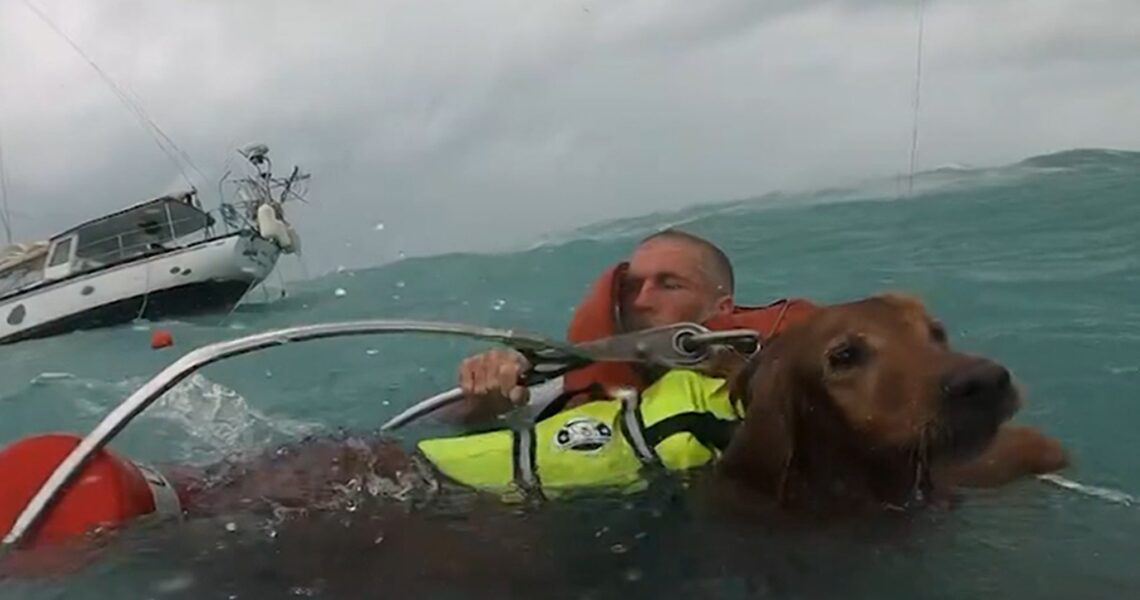 U.S. Coast Guard Saves Man, Dog in Dramatic Video After Hurricane Damages Boat