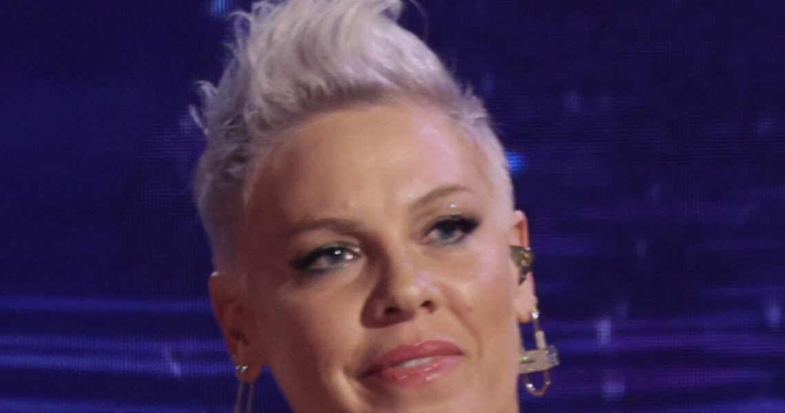 Pink Postpones Upcoming Concerts, Cites ‘Reasons Beyond My Control’