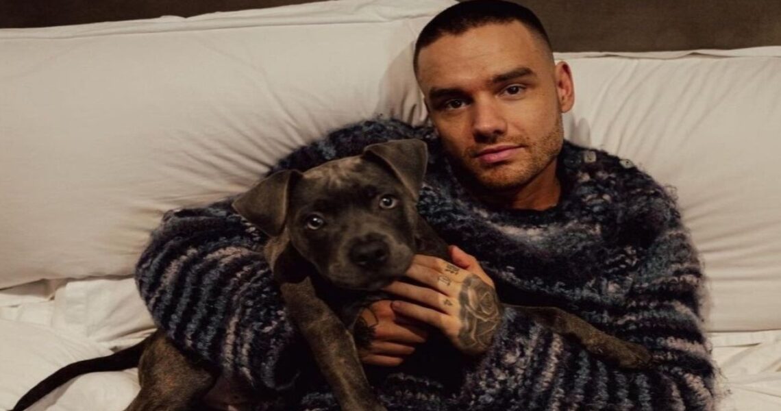 ‘I Still Had My Demons At 31’: One Direction Mentor Robbie Williams Shares Impassioned Tribute For Liam Payne